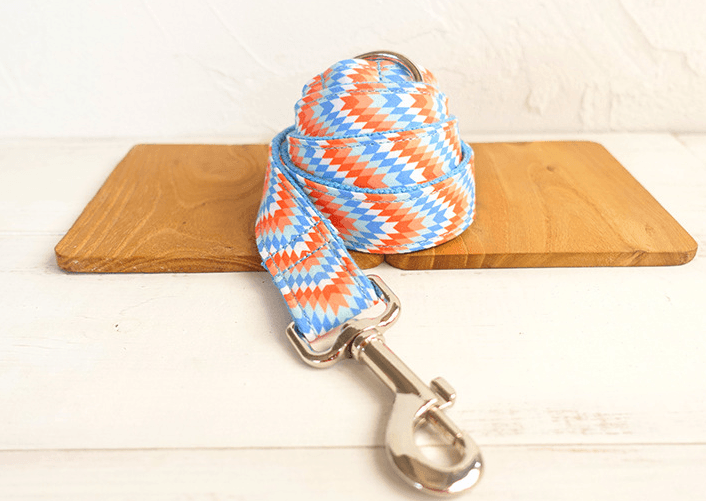Ultimate Freedom Dog Leash Set: The Perfect Companion For Active Dogs